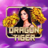 Dragon Tiger tableplus1 casino table